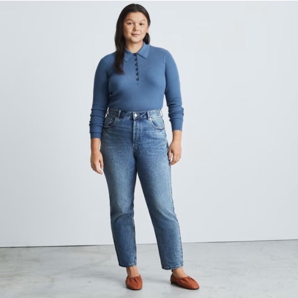 Everlane The Curvy 90s Cheeky Straight Jeans Vintage Mid Blue Size 28 Crop NWT